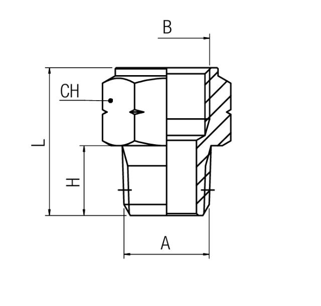 Adaptador macho BSPP - hembra NPT