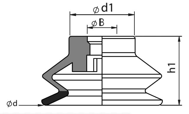 Ventosas 1,5 fuelles Multiflex ø10 a ø50mm